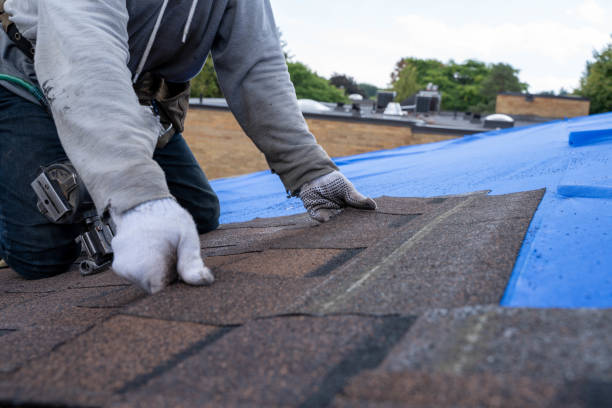 Best Storm Damage Roof Repair  in Pigeon Forge, TN